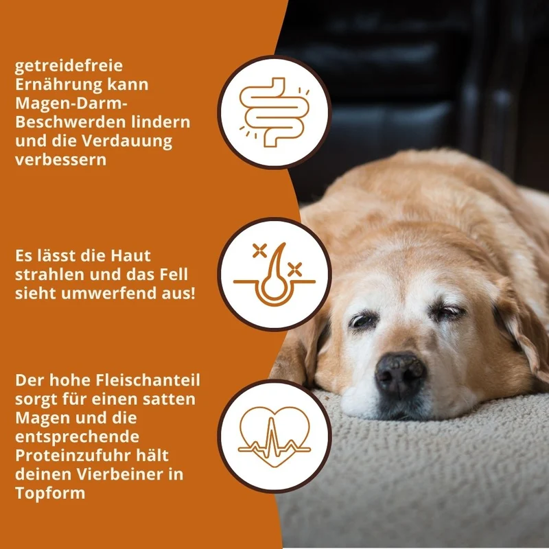 Sensitive Trockenfutter mit Truthahn - getreidefrei