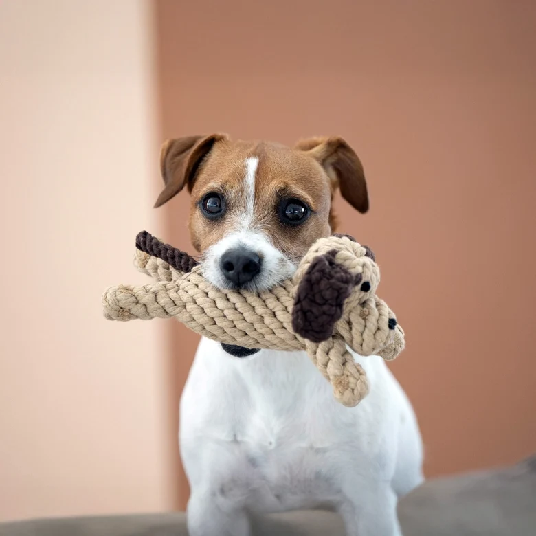 Hundespielzeug Doggy Dog Junior