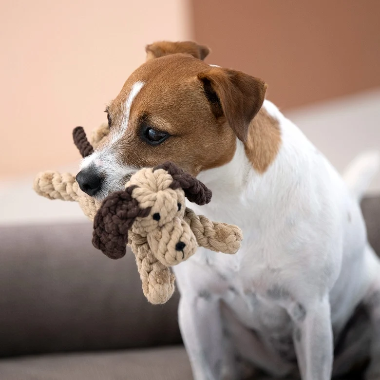 Hundespielzeug Doggy Dog Junior