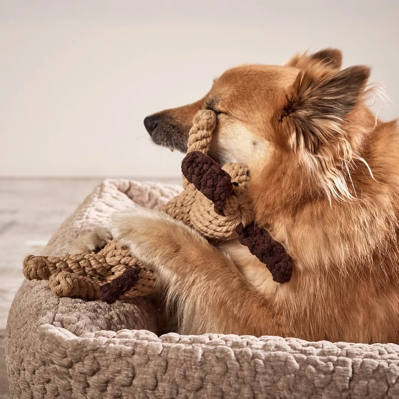 Hundespielzeug Doggy Dog