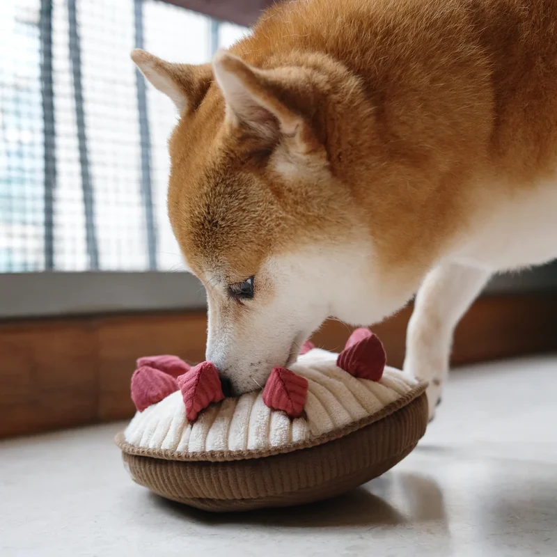 Schnüffelspielzeug Berrie Pie