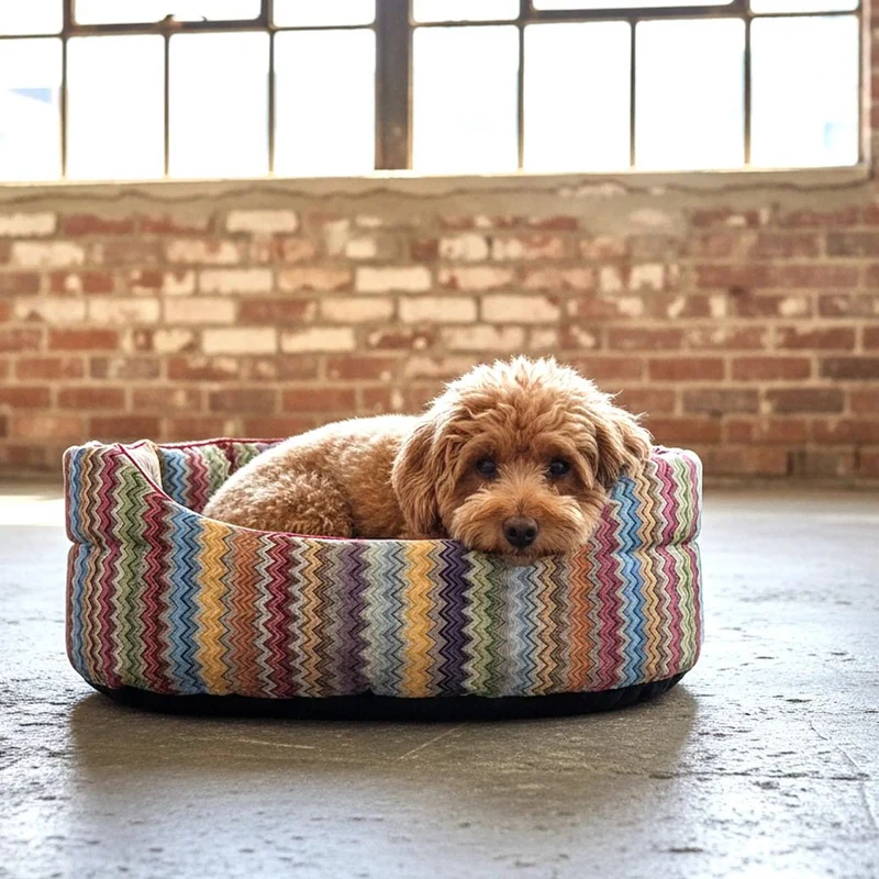 Hundekörbchen ZicZac