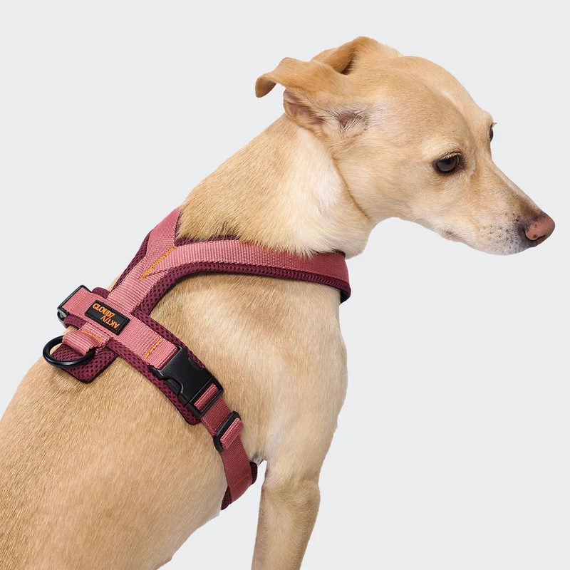 Y-1 Hundegeschirr AKTIV Air-Mesh Aubergine/Soft Rose