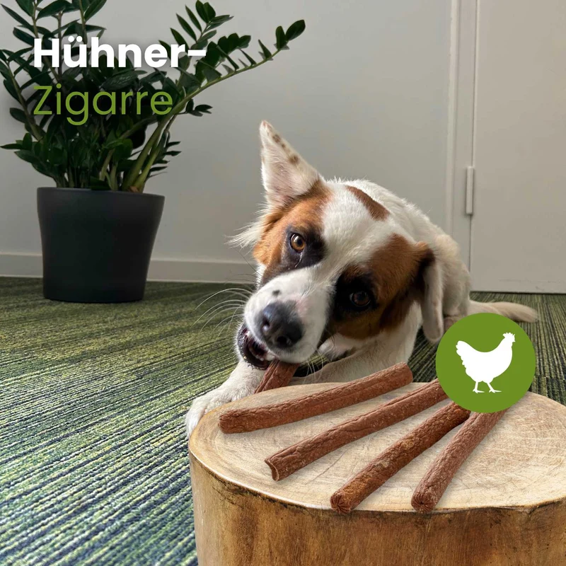 Hühner-Zigarre