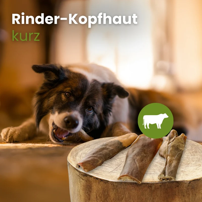 Rinder-Kopfhaut, kurz