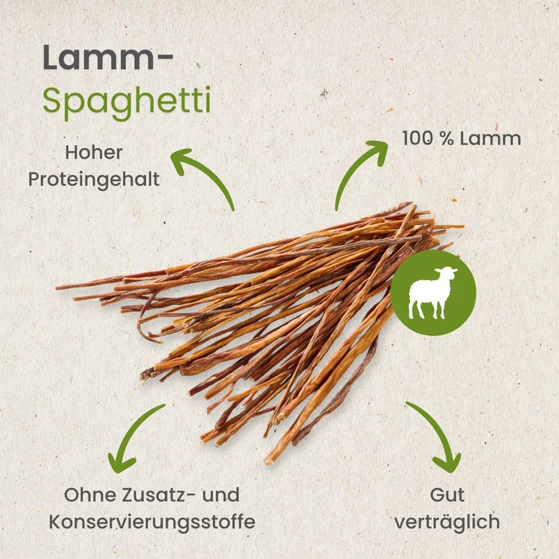 Lamm-Spaghetti