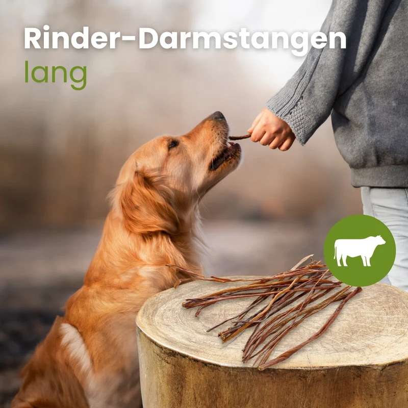 Rinder-Darmstangen, lang