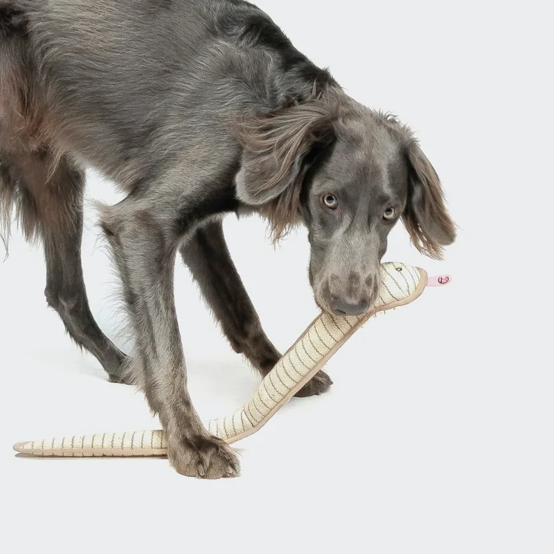 Hundespielzeug Schlange Smilla