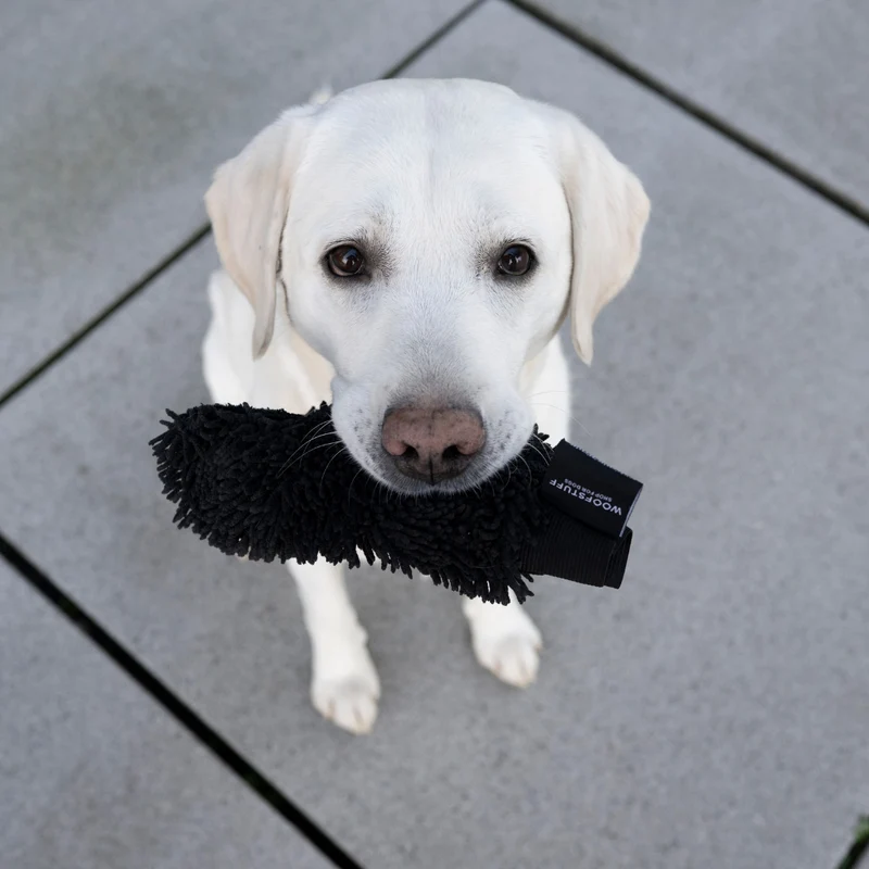 Hunde-Trockenhandschuh Quick Dry Anthrazit