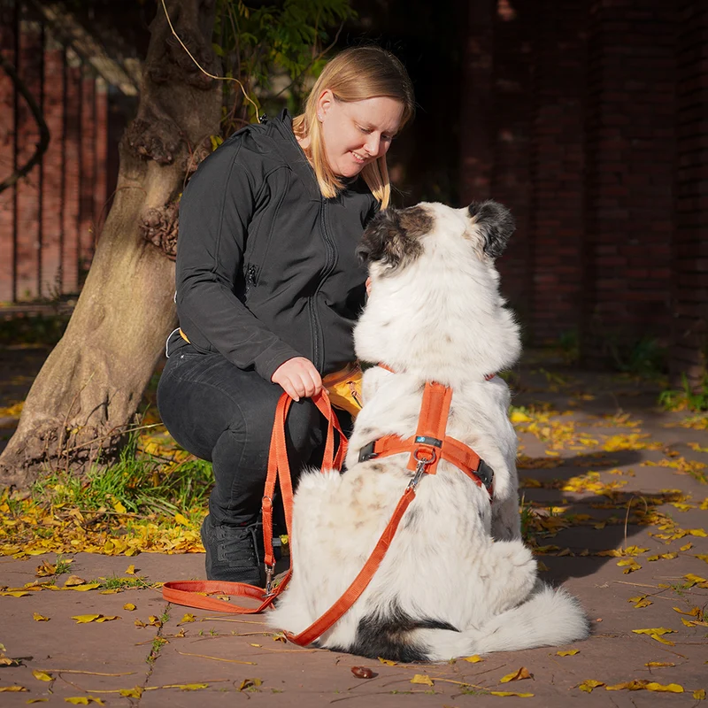 Hundegeschirr FUN Ahorn
