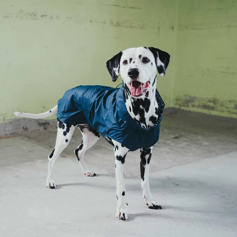 Hunde-Regenmantel Milford