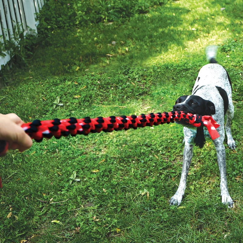 Hundespielzeug KONG® Signature Rope Dual Knot