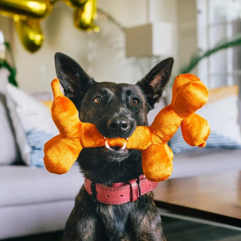 Hundespielzeug Balloon Buddy