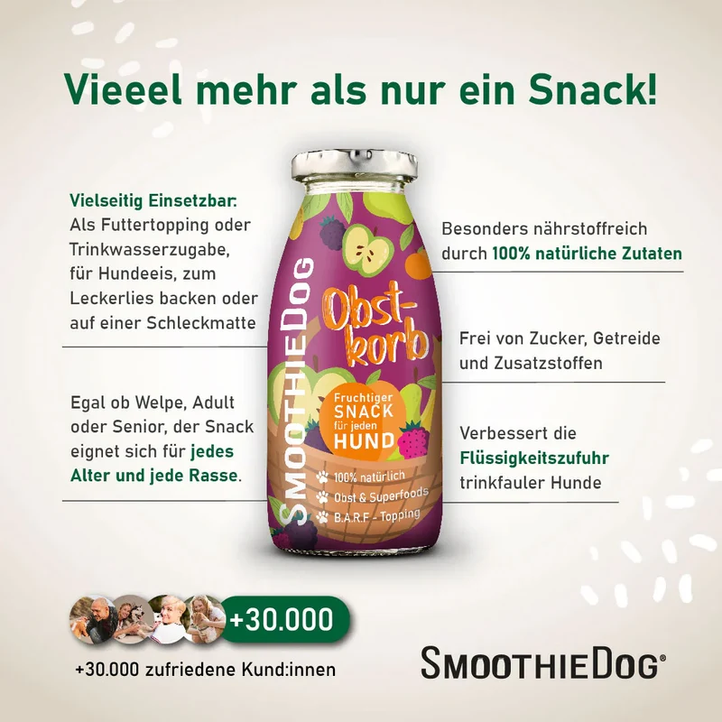 Hundesmoothie Obstkorb