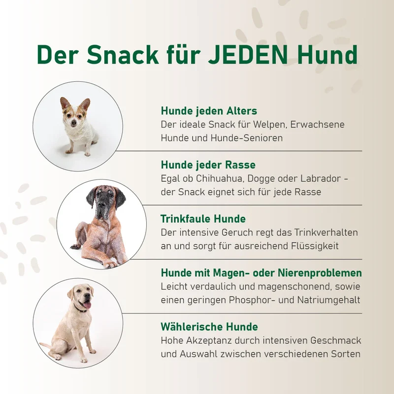 Hundesmoothie Sensitivo