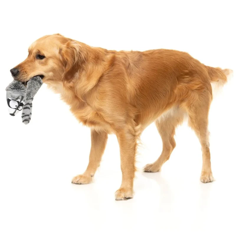 Hundespielzeug The Yeetz - Run Along Racoon