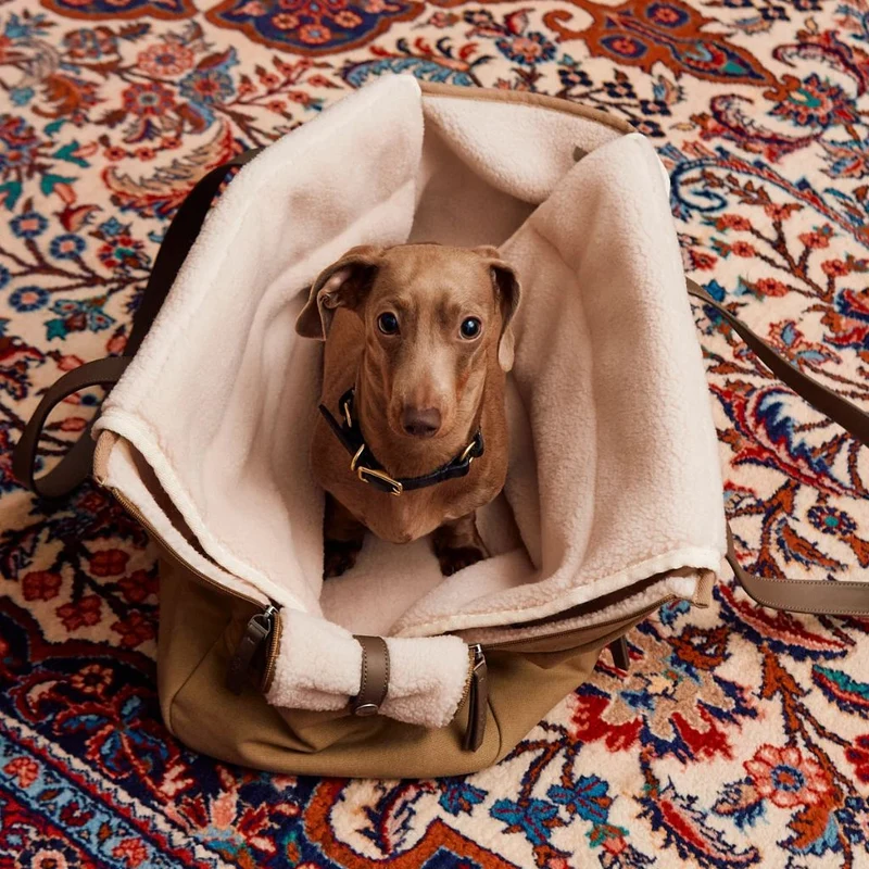 Hundetragetasche Tasca