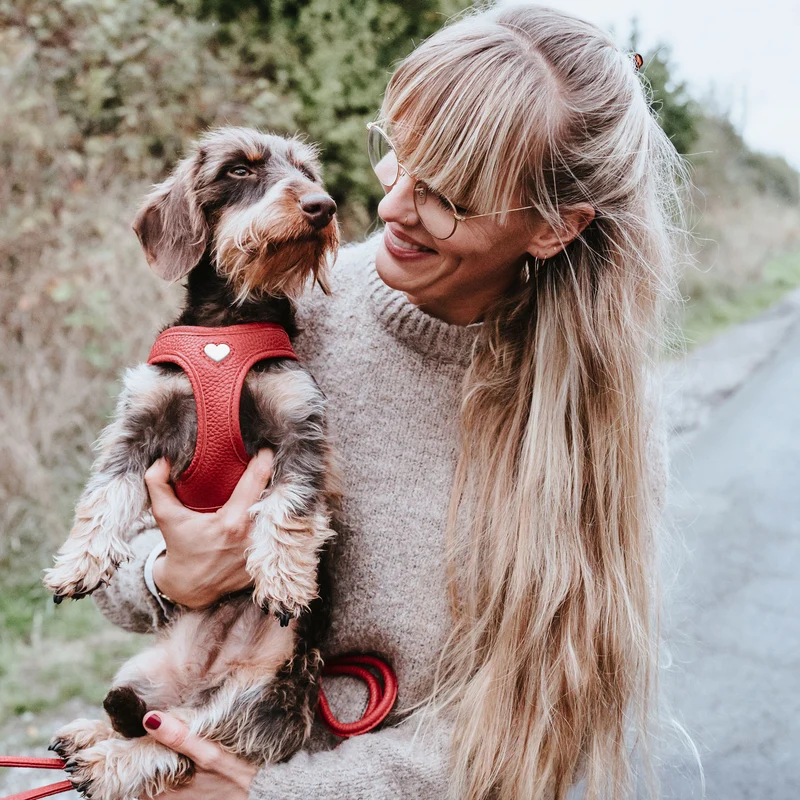 Geschirr Love