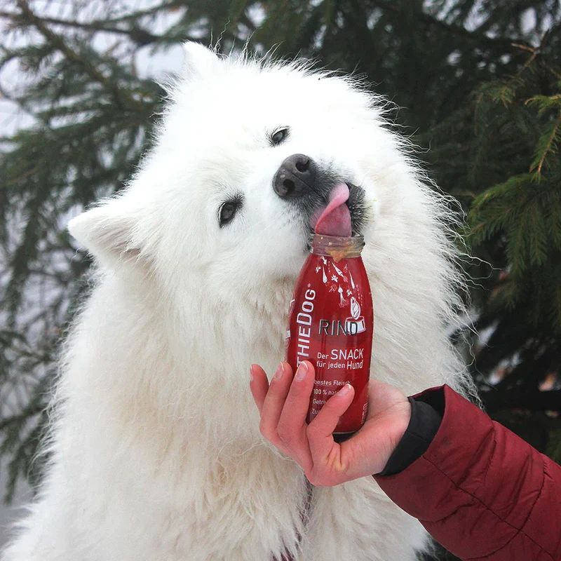 Hundesmoothie Rind