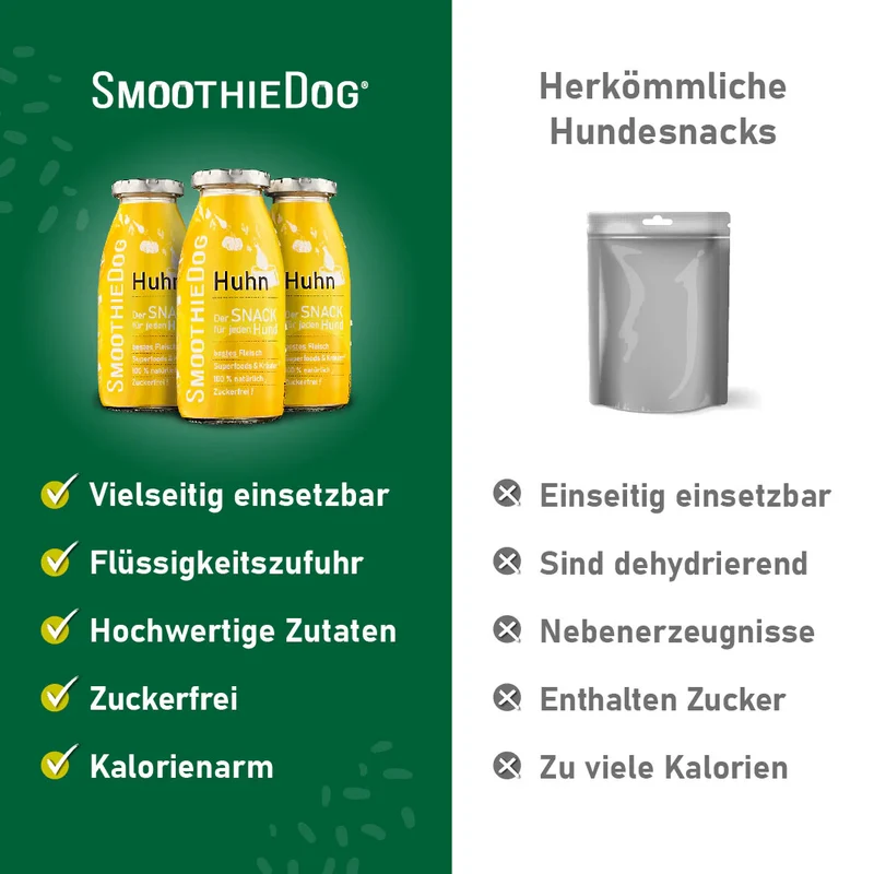 Hundesmoothie Huhn