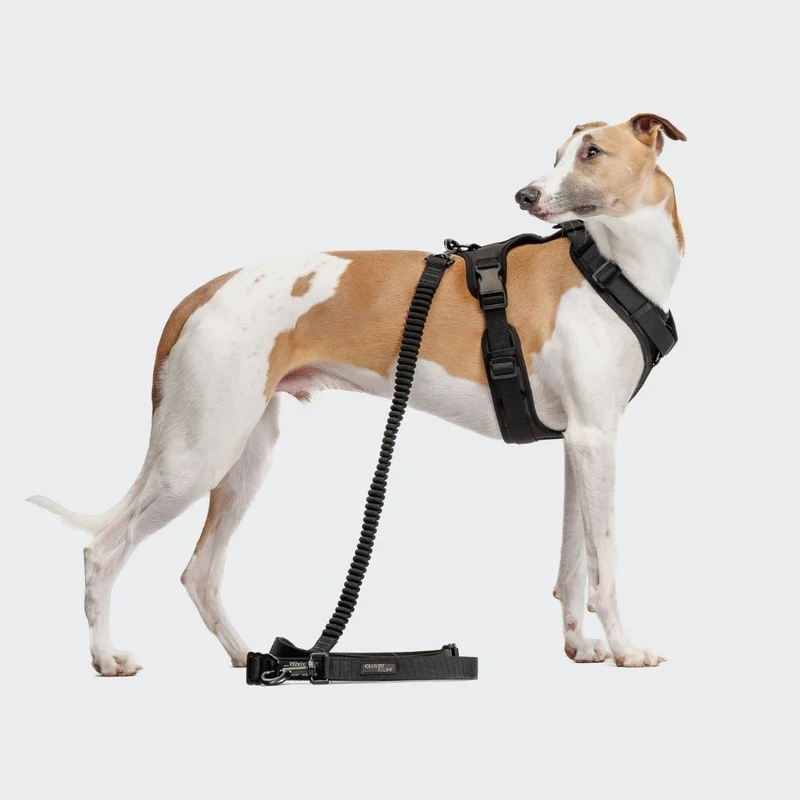 Y-3 Hundegeschirr AKTIV Softshell Black