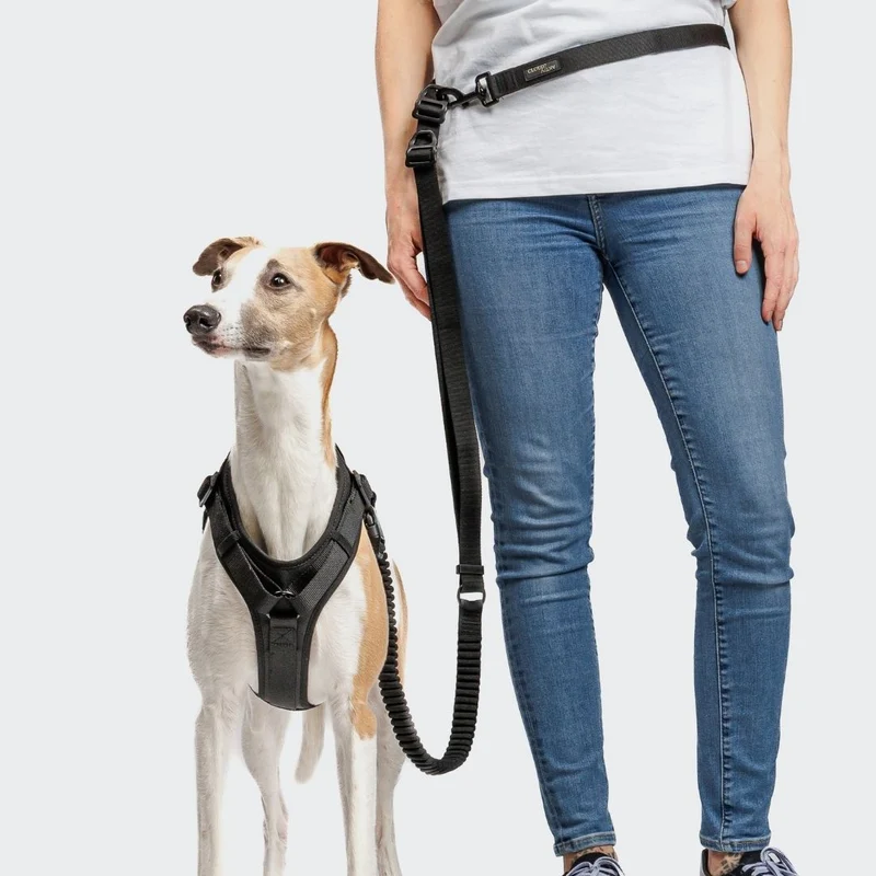 Y-3 Hundegeschirr AKTIV Softshell Black