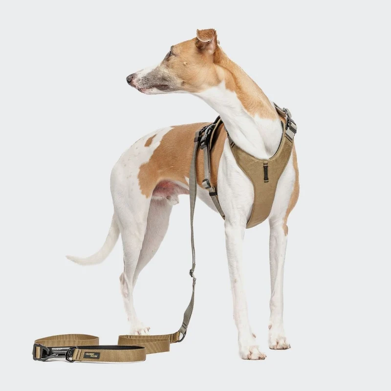 Y-2 Hundegeschirr AKTIV Cordura Khaki/Grey