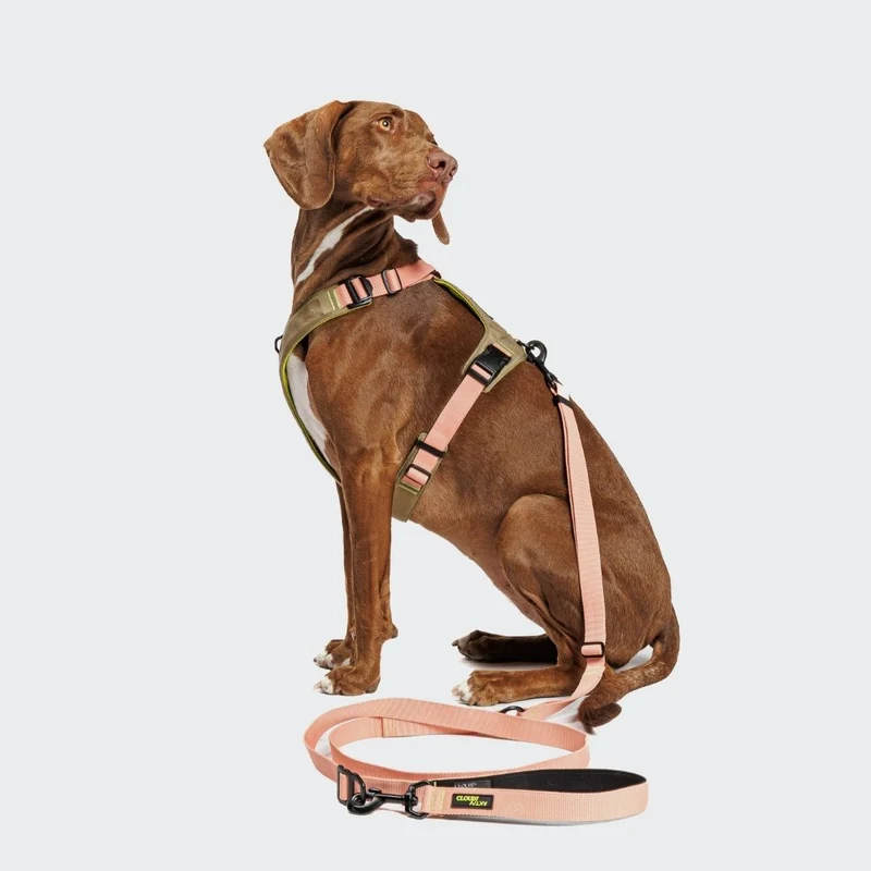 Y-2 Hundegeschirr AKTIV Cordura Khaki/Peach