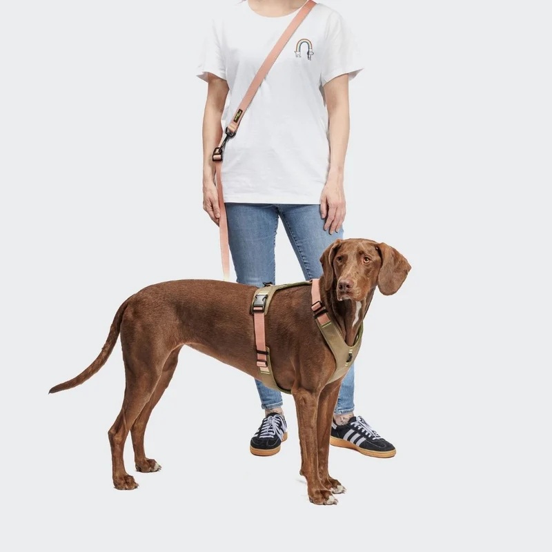 Y-2 Hundegeschirr AKTIV Cordura Khaki/Peach