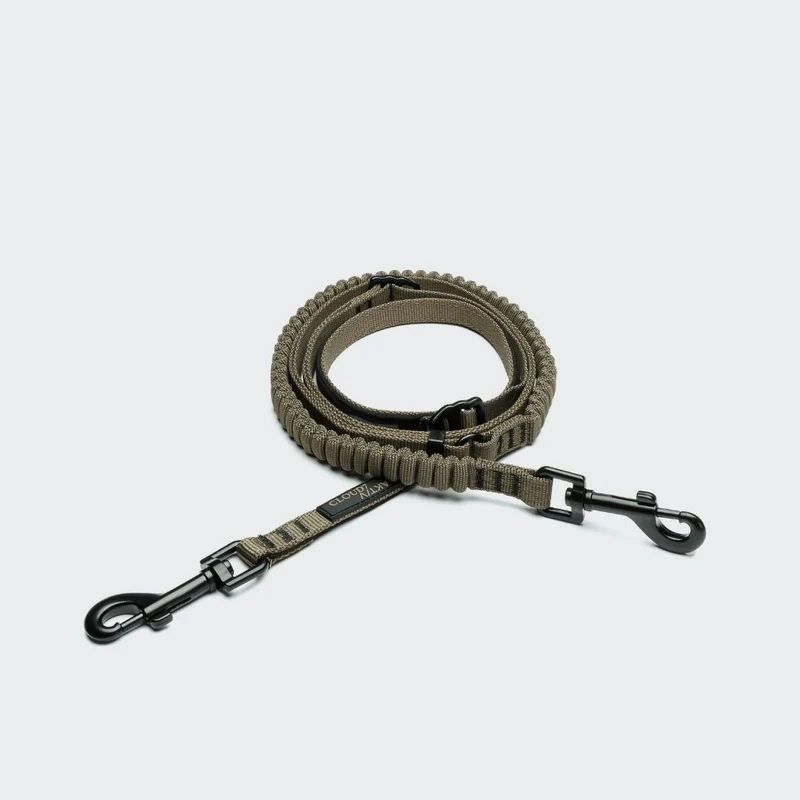 L-2 Jogging-Leine AKTIV Olive