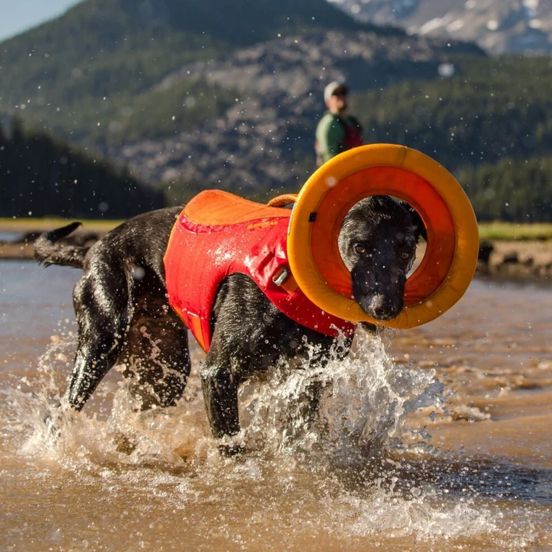 Hydro Plane™ Frisbee Tangelo Orange