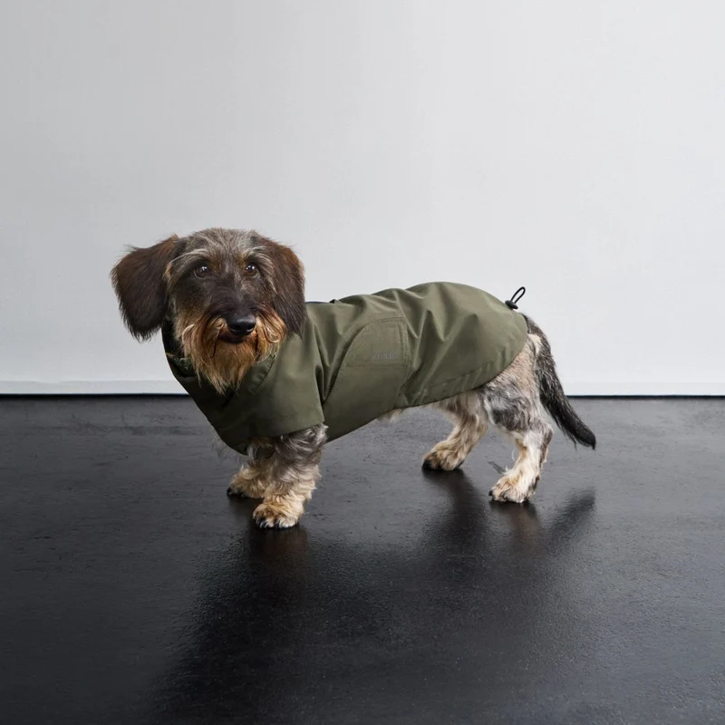 Hunderegenmantel Dackel Dublin 2.0 Dark Olive