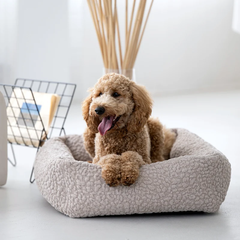 Hundebett Bellagio Ortho oder Classic