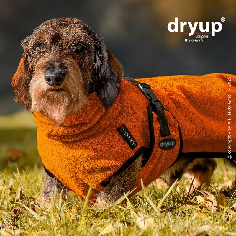 Dryup Cape Hundebademantel Dackel Clementine
