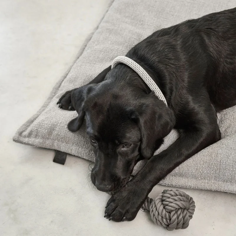 Campo Hundekissen Slim Kiesel