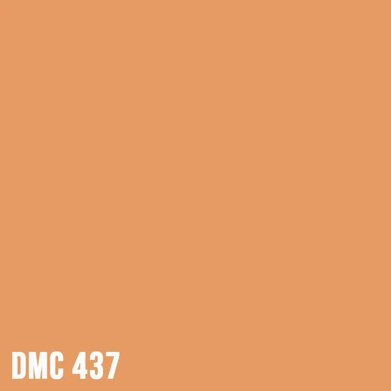 DMC 437 – Tan - Light – Strass rund Diamond Painting Steine 2,8mm