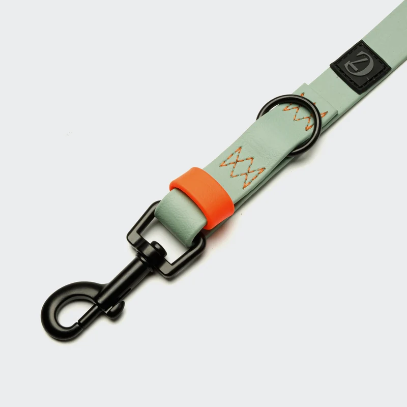 Hundeleine verstellbar BioThane Ipanema Mint-Neon Orange