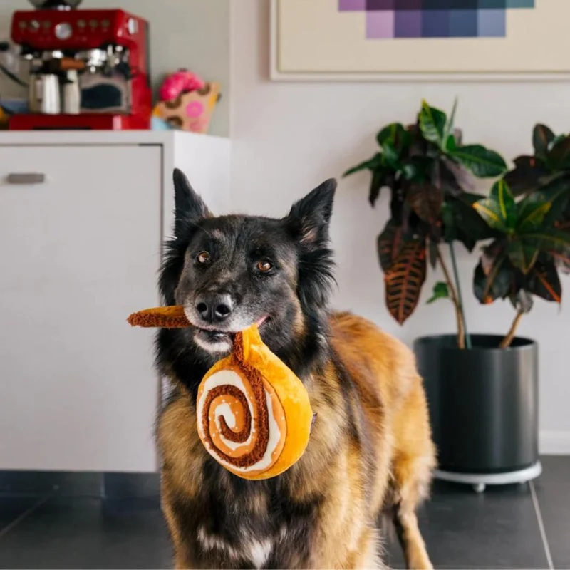 Hundespielzeug Cinnabone