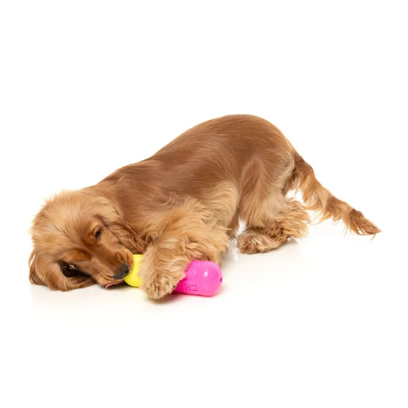 Hundespielzeug Chill Pill