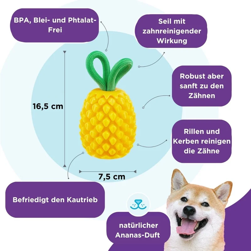 Dental Pineapple