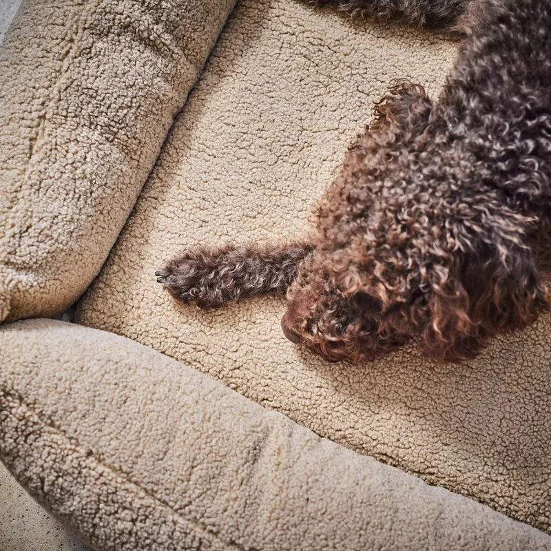 Hundebett Teddy Bouclé Ortho oder Classic Creme