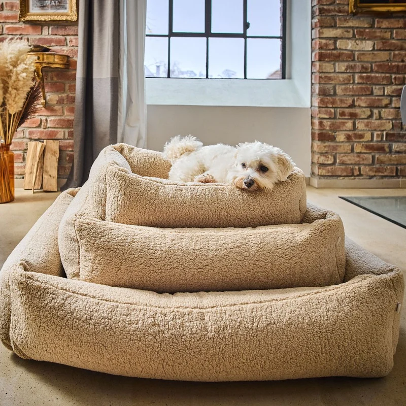 Hundebett Teddy Bouclé Ortho oder Classic Creme