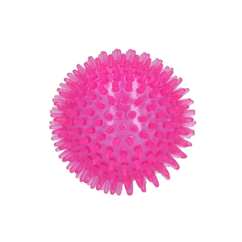 Hundespielzeug Exoplanet Igel-Ball