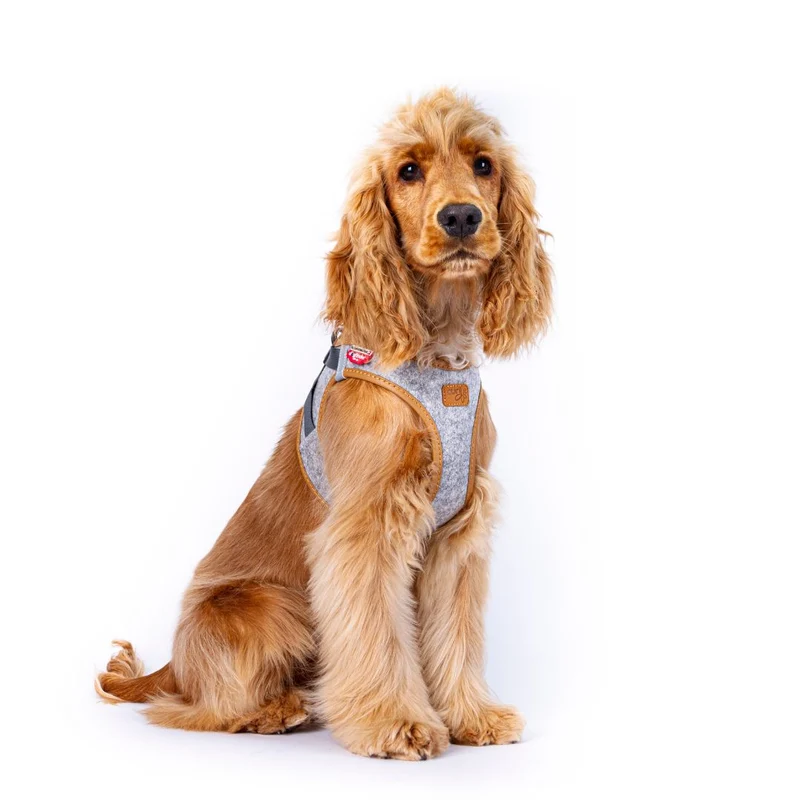Hundegeschirr Alpine Clasp Vest Harness Grey