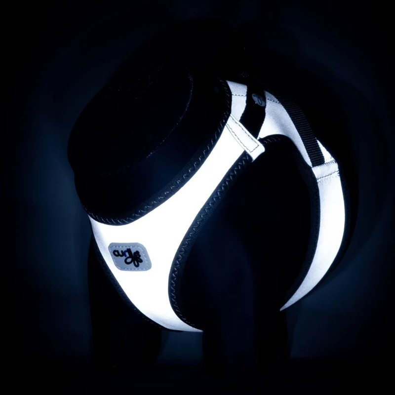 Hundegeschirr Glow Clasp Vest Harness Reflective Grey