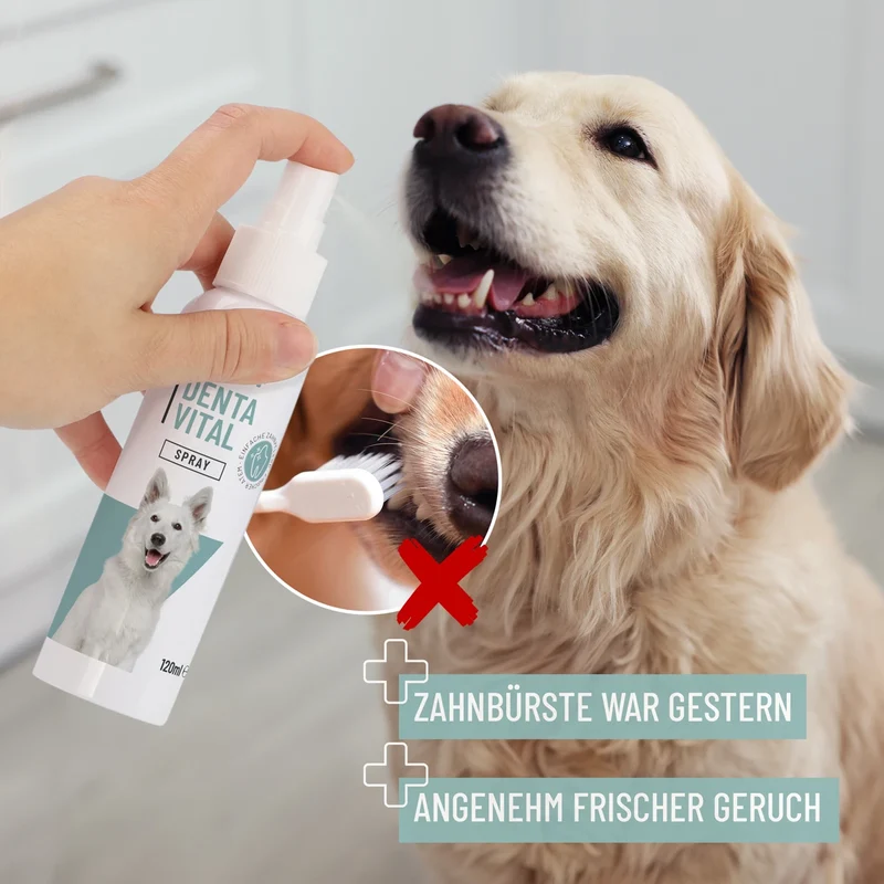 Denta Vital Spray
