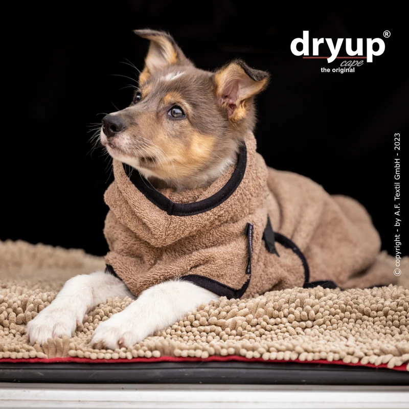Dryup Cape Hundebademantel Mini Coffee