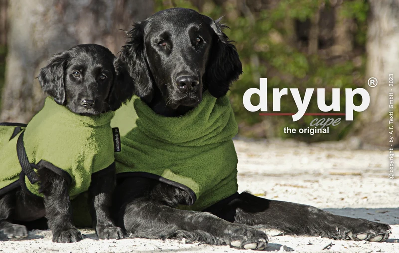 Dryup Cape Hundebademantel Moos