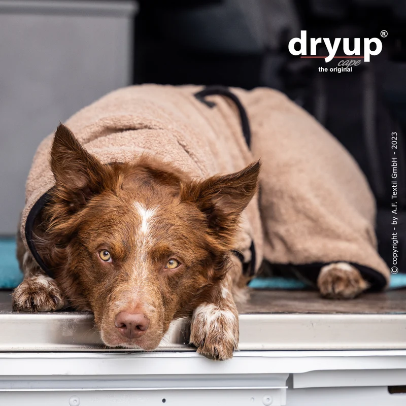 Dryup Cape Hundebademantel Coffee