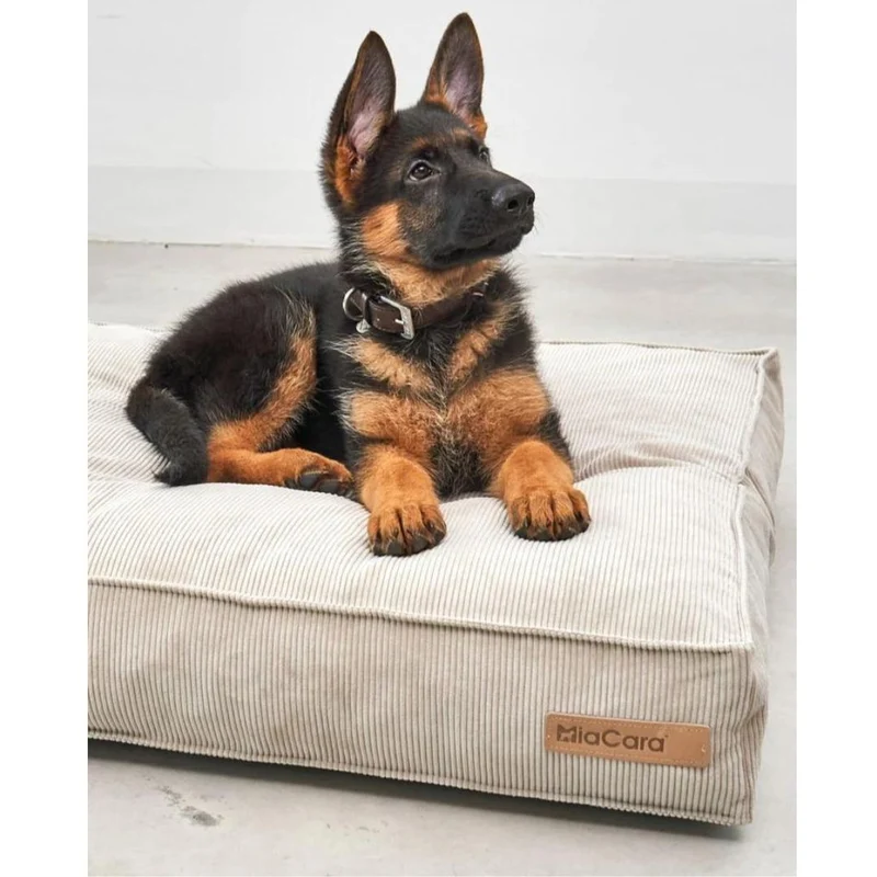 Cordo Hundekissen Greige